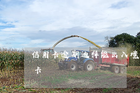 信用卡逾期迪拜能出入境么(迪拜可以用信用卡嗎)