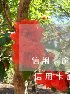 信用卡逾期追債去村委會(huì)怎么辦 信用卡逾期追債去村委會(huì)怎么辦呢