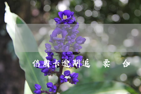 信用卡逾期追債要簽合約(信用卡逾期違約金)