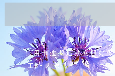 信用卡逾期追款客服好做吗(催信用卡逾期的工作人员)