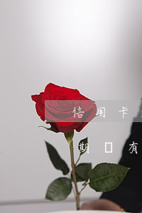 信用卡逾期追究刑事責(zé)任(信用卡逾期會有刑事責(zé)任嗎)