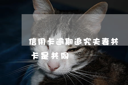 信用卡逾期追究夫妻共債嗎(夫妻之間的信用卡是共同債務嗎)