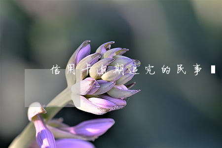 信用卡逾期追究的民事責(zé)任是哪些