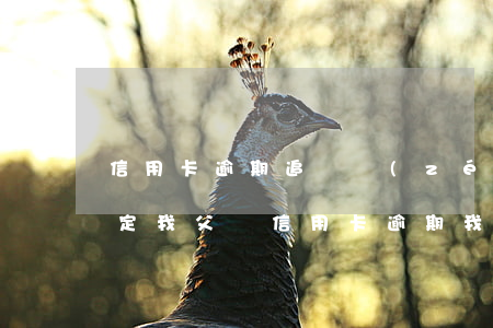 信用卡逾期追繳責(zé)任認(rèn)定(我父親信用卡逾期,我有責(zé)任嗎)