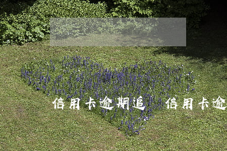 信用卡逾期追討(信用卡逾期追討會上門嗎)