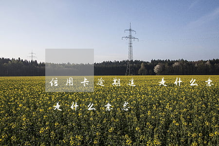信用卡逾期追訴是什么意思(信用卡逾期追訴是什么意思)