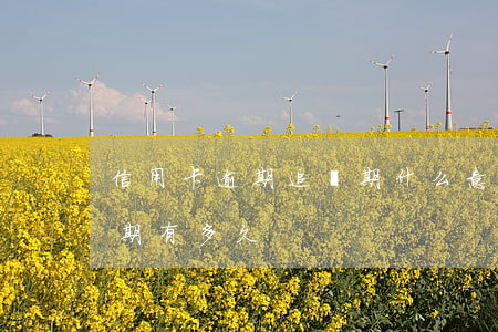 信用卡逾期追訴期什么意思-欠信用卡追訴期有多久