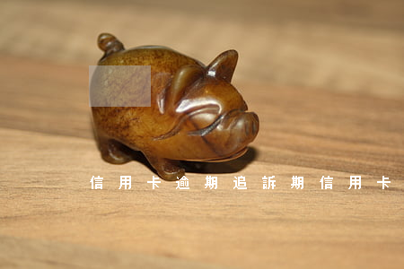 信用卡逾期追訴期(信用卡逾期追訴期)