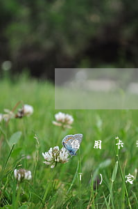 信用卡逾期追訴期多長時間(今年新規(guī)定信用卡逾期多久會起訴)