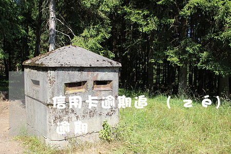 信用卡逾期追責(zé)是什么意思(“信用卡逾期”)