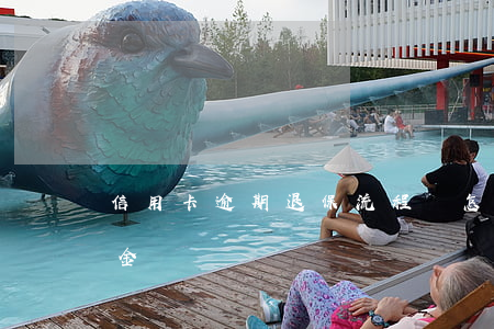 信用卡逾期退保流程圖怎么做(退信用卡違約金)