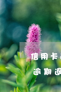 信用卡逾期退卡兩年了還能申請嗎-信用卡逾期退卡兩年了還能申請嗎怎么辦