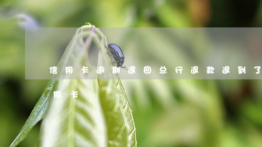 信用卡逾期退回总行 退款退到了已过期的信用卡