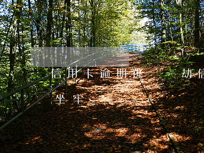 信用卡逾期逃過一劫(信用卡逾期逃過一劫會坐牢嗎)