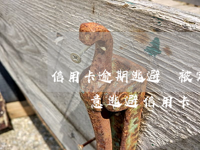 信用卡逾期逃避會被定性網(wǎng)逃嗎(惡意逃避信用卡)