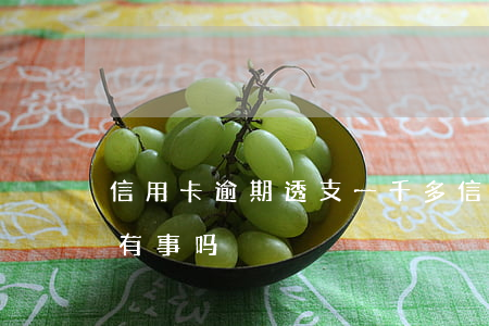 信用卡逾期透支一千多(信用卡逾期几千块钱有事吗)