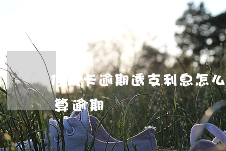 信用卡逾期透支利息怎么計算(還信用卡怎么算逾期)
