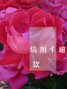 信用卡逾期透支怎么借錢(信用卡逾期如何貸款)