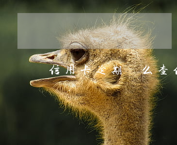 信用卡逾期這么查(信用卡逾期這么查)