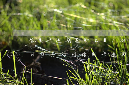 信用卡逾期通知上門(mén)走訪(fǎng)公司(信用卡 逾期 收到 律師 通告)