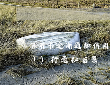 信用卡 逾期 通知（信用卡逾期后收到執(zhí)行通知后果）