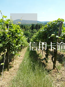信用卡 逾期 通知（信用卡逾期回打通讯录吗）