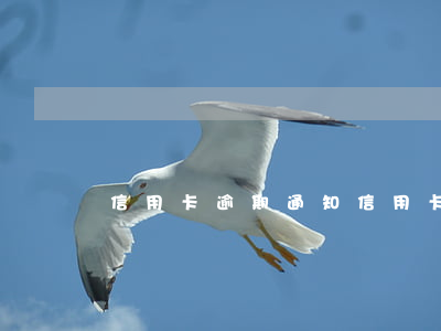 信用卡 逾期 通知（信用卡逾期的廣告語錄）