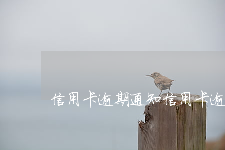 信用卡 逾期 通知（信用卡逾期秋雷行动）