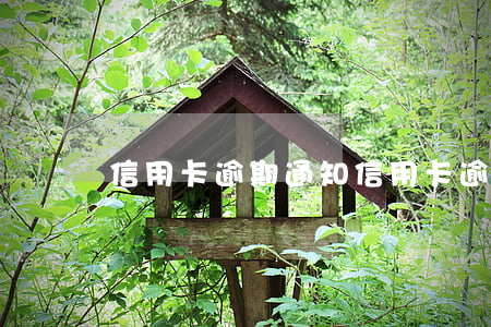 信用卡 逾期 通知（信用卡逾期通知起訴我怎么辦）