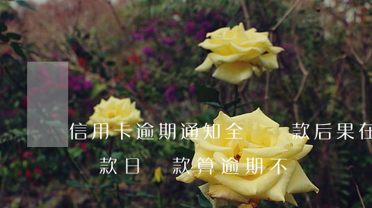 信用卡逾期通知全額還款后果(在信用卡最后還款日還款算逾期不)