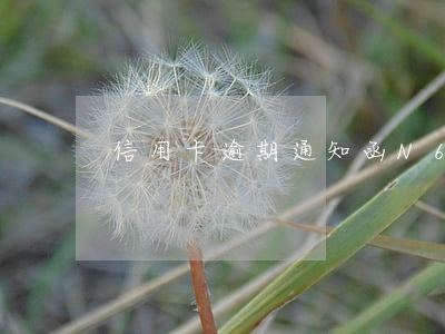 信用卡逾期通知函N6