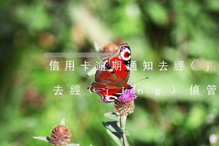 信用卡逾期通知去經(jīng)偵要不要去(經(jīng)偵管信用卡逾期嗎)