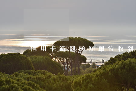 信用卡逾期通知單位(收到電話說信用卡逾期)