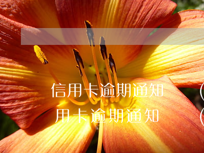 信用卡逾期通知報經(jīng)偵大隊(信用卡逾期通知報經(jīng)偵大隊)