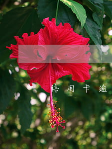 信用卡逾期通知外訪(逾期出訪通知)