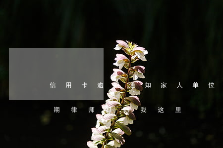 信用卡逾期通知家人单位那(家人的信用卡逾期律师打到我这里)