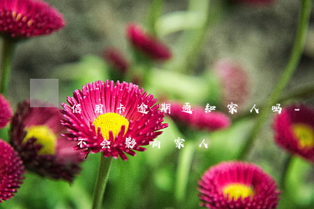 信用卡逾期通知家人吗-我信用卡逾期了会不会影响家人