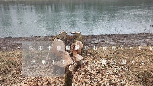 信用卡逾期通知我資產(chǎn)保全(欠信用卡多久可以保全財(cái)產(chǎn))