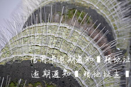 信用卡逾期通知戶籍地址走訪取證-信用卡逾期通知戶籍地址走訪取證怎么辦