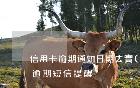 信用卡逾期通知日期去實(shí)地(信用逾期短信提醒)