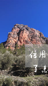 信用卡逾期通知村委了(信用卡逾期通知村委了怎么辦)