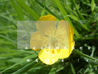 信用卡逾期通知村委會(huì)(信用卡逾期通知村委會(huì)違法嗎)
