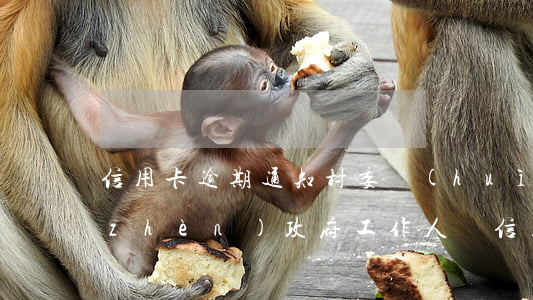信用卡逾期通知村委會(huì)后-鎮(zhèn)政府工作人員信用卡逾期