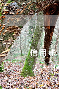 信用卡逾期通知村委會聯(lián)系家人-信用卡逾期通知村委會聯(lián)系家人怎么辦