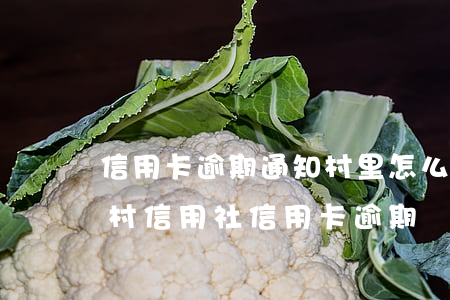 信用卡逾期通知村里怎么辦(農(nóng)村信用社信用卡逾期)