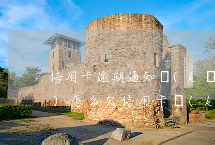 信用卡逾期通知開(kāi)庭會(huì)怎么(欠信用卡開(kāi)庭后的結(jié)果)