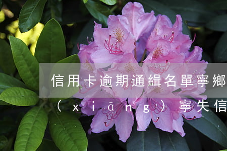 信用卡逾期通緝名單寧鄉(xiāng)(鄉(xiāng)寧失信人員名單)
