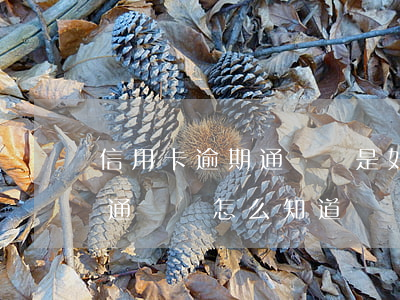 信用卡逾期通訊錄是如何得知的-欠信用卡通訊錄怎么知道