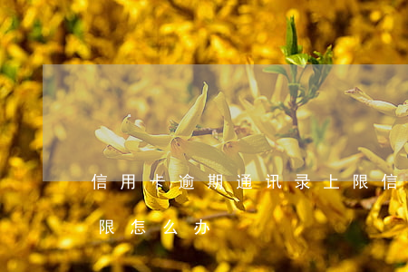 信用卡逾期通讯录上限(信用卡逾期通讯录上限怎么办)