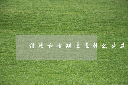 信用卡逾期通过什么渠道协商还款